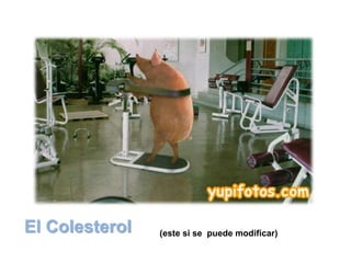 El Colesterol (este si se puede modificar)
 