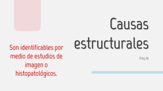 Causas
estructurales
PALM
Son identificables por
medio de estudios de
imagen o
histopatológicos.
 