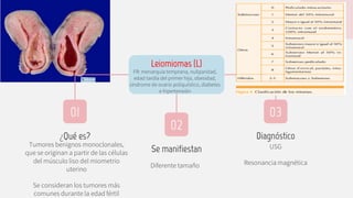 USG
Resonancia magnética
¿Qué es?
Tumores benignos monoclonales,
que se originan a partir de las células
del músculo liso del miometrio
uterino
Se consideran los tumores más
comunes durante la edad fértil
Leiomiomas (L)
FR: menarquia temprana, nuliparidad,
edad tardía del primer hijo, obesidad,
síndrome de ovario poliquístico, diabetes
e hipertensión
01 03
02
Se manifiestan
Diferente tamaño
Diagnóstico
 