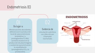 Endometriosis (E)
Da lugar a:
Menstruaciones abundantes,
deficiencia en la producción
local de vasoconstrictores
(endotelina 1 y
prostaglandina F2 alfa),
aumento excesivo en la
producción de plasminógeno
y sustancias que promueven
la vasodilatación
(prostaglandina E2) y la
prostaciclina.
vinculación subclínica
con infección por
Chlamydia
trachomatis
Evidencia de
01 02
 