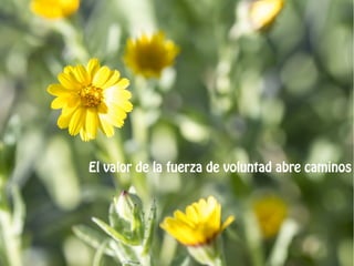 Charla Soporte vital básico