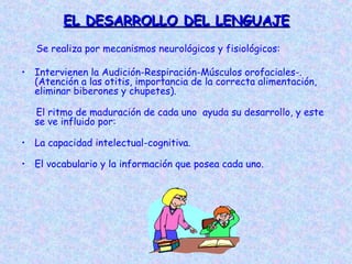 EL DESARROLLO DEL LENGUAJEEL DESARROLLO DEL LENGUAJE
Se realiza por mecanismos neurológicos y fisiológicos:
• Intervienen la Audición-Respiración-Músculos orofaciales-.
(Atención a las otitis, importancia de la correcta alimentación,
eliminar biberones y chupetes).
El ritmo de maduración de cada uno ayuda su desarrollo, y este
se ve influido por:
• La capacidad intelectual-cognitiva.
• El vocabulario y la información que posea cada uno.
 