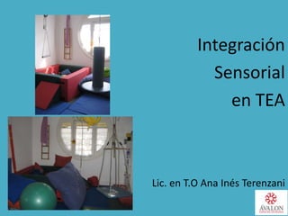 Integración
Sensorial
en TEA
Lic. en T.O Ana Inés Terenzani
 
