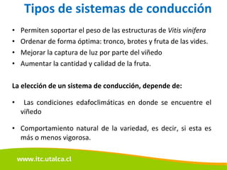 Tipos de sistemas de conducción Permiten soportar el peso de las estructuras de  Vitis vinifera Ordenar de forma óptima: tronco, brotes y fruta de las vides.  Mejorar la captura de luz por parte del viñedo  Aumentar la cantidad y calidad de la fruta.  La elección de un sistema de conducción, depende de: Las condiciones edafoclimáticas en donde se encuentre el viñedo Comportamiento natural de la variedad, es decir, si esta es más o menos vigorosa. 