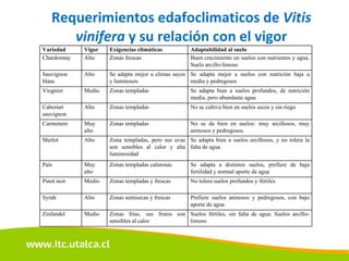 Requerimientos edafoclimaticos de  Vitis vinifera  y su relación con el vigor Variedad Vigor Exigencias climáticas Adaptabilidad al suelo Chardonnay Alto Zonas frescas Buen crecimiento en suelos con nutrientes y agua. Suelo arcillo-limoso Sauvignon blanc Alto Se adapta mejor a climas secos y luminosos Se adapta mejor a suelos con nutrición baja a media y pedregosos Viognier Medio Zonas templadas Se adapta bien a suelos profundos, de nutrición media, pero abundante agua Cabernet sauvignon Alto Zonas templadas No se cultiva bien en suelos secos y sin riego Carmenere Muy alto Zonas templadas No se da bien en suelos: muy arcillosos, muy arenosos y pedregosos. Merlot Alto Zona templadas, pero sus uvas son sensibles al calor y alta luminosidad Se adapta bien a suelos arcillosos, y no tolera la falta de agua País Muy alto Zonas templadas calurosas Se adapta a distintos suelos, prefiere de baja fertilidad y normal aporte de agua Pinot noir Medio Zonas templadas y frescas No tolera suelos profundos y fértiles Syrah Alto Zonas semisecas y frescas Prefiere suelos arenosos y pedregosos, con bajo aporte de agua Zinfandel Medio Zonas frías, sus frutos son sensibles al calor Suelos fértiles, sin falta de agua. Suelos arcillo-limoso 