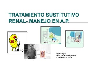 TRATAMIENTO SUSTITUTIVO
RENAL- MANEJO EN A.P.




               Nefrología
               Htal Dr. Molina Orosa
               Lanzarote - 2012
 