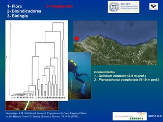 1- Flora                          4- Vegetación
 2- Bioindicadores
 3- Biología

              Verano 1982

              7 transectos




                                                                          Comunidades
                                                                          1.- Gelidium corneum (3-9 m prof.)
                                                                          2.- Pterosiphonia complanata (9-10 m prof.)




Gorostiaga, J.M. Sublittoral Seaweed Vegetation of a Very Exposed Shore
on the Basque Coast (N. Spain). Botanica Marina. 38: 9-16 (1995)                                             BIONATUR
 