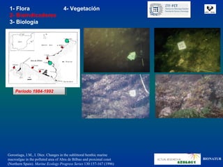 1- Flora                          4- Vegetación
 2- Bioindicadores
 3- Biología




    Periodo 1984-1992
     Periodo 1984-1992




Gorostiaga, J.M., I. Díez. Changes in the sublittoral benthic marine
macroalgae in the polluted area of Abra de Bilbao and proximal coast   BIONATUR
(Northern Spain). Marine Ecology Progress Series 130:157-167 (1996)
 