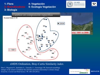 1- Flora                            4- Vegetación
     2- Bioindicadores                   5- Ecología Vegetación
     3- Biología

                 Cambios en composición específica
                 Cambios en composición específica




                                                                                18 transectos (Bizkaia): 1991 vs 2008
                                                                                 18 transectos (Bizkaia): 1991 vs 2008




             nMDS Ordination, Bray-Curtis Similarity index
Díez I., Muguerza N., Santolaria A. , Ganzedo, U., Gorostiaga J.M. Seaweed assemblage
changes in the eastern Cantabrian Sea and their potential relationship to climate change.
Estuarine, Coastal and Shelf Science 99: 108-120 (2012)                                                                  BIONATUR
 