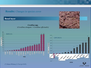 Results: Changes in species cover

      Basal layer

                                                 Corallina spp.
                                   (Corallina elongata + Corallina officinalis)

 50
 45     BIZKAIA                                                                                * *                 14,00
 40                                                                                                                                                                                                *
 35                                                                                                                12,00       GIPUZKOA
 30
                                                                                                                   10,00
 25                                                                                                                                                                                            *
                                                                                                                    8,00
                                                                                                                                                                                          *
 20
 15                                                                           * * *
Cover (%) changes
                                                    * *                                                             6,00
                                                                                                                                                                              *
 10                                             * *                                                                                                                       *
  5                                         * *                                                                     4,00



  0   SAN JUAN
            OGOÑOLA GALEA
                       MEÑAKOZ
                            EA   KOBARON
                                      STA.CATALINAMATXILANDO EGILUZONDARROA VILLANO GEIA LEMOIZBAKIO MATXITXAKO
                                            ELANTXOBE GIBELEKO          ARMINZA   O
                                                                                                                    2,00                                      *
                                                                                                                           *
                                                                                                                  COVER (%) CHANGES
                                                                                                                    0,00



                                                                                                                   -2,00       ORIO
                                                                                                                                      URGULL
                                                                                                                                           ZUMAIA                                            TAMBÓ
                                                  Sites                                                                                                                               MOTRIKO
                                                                                                                   PTA. ITEICO                                                PTA ZABALA        ARCOMETEY
                                                                                                                   -4,00                                   CABO HIGUER
                                                                                                                                                                PUNTAPTA. IZUZTARRI
                                                                                                                                                    RATÓN GETARIA     ENDATA

                                                                                                                                         PTA. TIERRA BLANCA
                                                                                                                   -6,00

                                                                                                                                                                  SITES

      (*) Mann-Whitney U-Test (p>0.05)
 