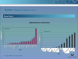 Results: Changes in species cover

     Basal layer


                                                                              Aglaothamnion tenuissimum

40

35
      BIZKAIA                                                                                      *
                                                                                                             7,00


30                                                                                                                   GIPUZKOA
                                                                                                             6,00
                                                                                                                                                                                                        *
25                                                                                                                                                                                                  *
                                                                                                             5,00
20                                                                                                                                                                                        *
 15
                                                                                             *               4,00
                                                                                                                                                                                   *
Cover (%) Changes
 10
                                                                                       *                     3,00


 5                                                    * * * * * *                                            2,00
                                                                                                                                                                           *
                     * * * * * *
                                                                                                            COVER (%) CHANGES
                                                                                                                                                                    *
 0   ELANTXOBE OGEIA LA GALEA
           GIBELEKO        KOBARON
                                SANTA CATALINA
                                      BAKIO EA   MATXITXAKO SAN JUAN
                                                       MEÑAKOZ    OGOÑOMATXILANDO ARMINZANDARROA
                                                                             VILLANO    O    LEMOIZEGILUZ
                                                                                                             1,00



                                                                                                             0,00


                                                                                                                                                                  ORIO
                                                 Sites                                                          ZUMAIA      URGULL                                       TAMBÓ
                                                                                                                                         MOTRIKO
                                                                                                                    ARCOMETEY                                                              PTA. ITEICO ZABALA
                                                                                                                                                                                                   PTA
                                                                                                                                CABO HIGUER PTA. IZUZTARRI                PUNTA ENDATA
                                                                                                                                                    RATÓN GETARIA
                                                                                                                                                                               PTA. TIERRA BLANCA
                                                                                                                                                          SITES

     (*) Mann-Whitney U-Test (p>0.05)
 