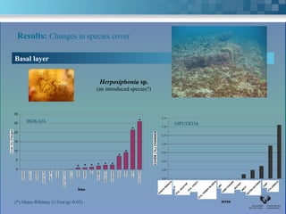 Results: Changes in species cover

 Basal layer


                                                                    Herposiphonia sp.
                                                                   (an introduced species?)



 30
                                                                                                                    0,35

 25       BIZKAIA                                                                                   *                         GIPUZKOA
                                                                                                                    0,30

 20
                                                                                              *
                                                                                                                    0,25


 15
                                                                                                                    0,20


 10
Cover (%) Changes                                                                        *                          0,15

                                                                                   *
  5                                                                                                                 0,10


                                                  * * * * * *
                                                                                                                  COVER (%) CHANGES
  0    KOBARONGALEA
            LA   MEÑAKOZ
                      MATXILANDO OGOÑO
                            SAN JUAN  SANTA VILLANOGEIA ARMINZA
                                            CATALINA
                                                  O           EA   GIBELEKO
                                                                         ELANTXOBE LEMOIZBAKIO EGILUZMATXITXAKO
                                                                              ONDARROA                              0,05



                                                                                                                    0,00


                                                                                                                                                      ORIO
                                                                                                                             ZUMAIA                           URGULL                       TAMBÓ
                                                                                                                                                                         MOTRIKO
                                                   Sites                                                                                PTA. ITEICO                          ARCOMETEY          PTA ZABALA
                                                                                                                                                                 CABO HIGUER
                                                                                                                   PUNTA ENDATAPTA. IZUZTARRI                                   RATÓN GETARIA
                                                                                                                                                PTA. TIERRA BLANCA

 (*) Mann-Whitney U-Test (p>0.05)                                                                                                                               SITES
 