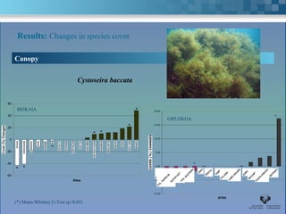 Results: Changes in species cover

       Canopy


                                                        Cystoseira baccata


  60
        BIZKAIA                                                                                        *         20,00

  40                                                                                                                                                                                                     *
                                                                                                                           GIPUZKOA
  20                                                                                             *               15,00



                                                                    * *
                                                                                                                 10,00
   0   EGILUZMATXITXAKO BAKIO ARMINZA
                   ONDARROA         EA   LA GALEA
                                               MEÑAKOZ
                                                    MATXILANDO GIBELEKO
                                                          VILLANO    SANTA KOBARON
                                                                           CATALINA
                                                                                 ELANTXOBE OGEIA SAN JUAN
                                                                                      OGOÑO            LEMOIZ



                                   *
 -20                                                                                                              5,00
Cover (%) Changes


 -40                                                                                                                                             *
       * *
                                                                                                                  0,00
                                                                                                                COVER (%) CHANGES
                                                                                                                                                     ORIO
 -60                                                                                                                                                        URGULL TAMBÓ              ZUMAIA
                                                                                                                                                                                                       MOTRIKO
                                                                                                                   PTA. ITEICO                                        PTA ZABALA         ARCOMETEY
                                                    Sites                                                         -5,00                                                     CABO HIGUER      PUNTA ENDATA
                                                                                                                                        PTA. IZUZTARRI
                                                                                                                                 RATÓN GETARIA
                                                                                                                     PTA. TIERRA BLANCA


                                                                                                                 -10,00

                                                                                                                                                                    SITES
       (*) Mann-Whitney U-Test (p>0.05)
 