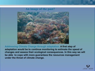 An image of the past?
 