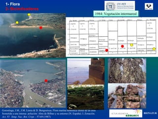 1- Flora
   2- Bioindicadores
                                                                                      1984: Vegetación intermareal
                                                                                       1984: Vegetación intermareal




Gorostiaga, J.M., J.M. Limia & D. Bengoetxea. Flora marina bentónica litoral de un área
Sometida a una intensa polución: Abra de Bilbao y su entorno (N. España). I. Zonación.                                BIONATUR
Act. VI Simp. Nac. Bot. Cript. : 57-69 (1987)
 