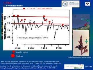 1- Flora
      2- Bioindicadores
                                           > 23º C en 7 días consecutivos



                                                                                                 1987
                                                                                                                      1991




                           Tª media agua en agosto (1947-1987)

             Saccorhiza polyschides

                           Aislados
                           Pequeños grupos
                          Grandes grupos

                           Praderas
                                                                                                        Schimmelmannia schousboei
  Borja, A & J.M. Gorostiaga. Distribución de Saccorhiza polyschides (Light.) Batt. en la costa
  Vasca. Su posible relación con la temperatura. Actas VI Symp. ibér. Est. Bentos mar.: 1-8 (1990)
Gorostiaga, J.M. & A. Santolaria. On the presence of Schimmelmannia schousboei J. Agardh                                  BIONATUR
Gloiosiphoniaceae, Rhodophyta) in European coastal waters. Br. Phycol. J. 27: 90 (1992) )
 
