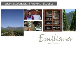 SOCIAL RESPONSIBILITY / HUMAN RESOURCE 
