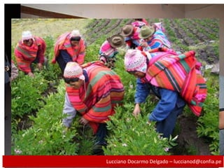 Lucciano Docarmo Delgado – luccianod@confia.pe
 