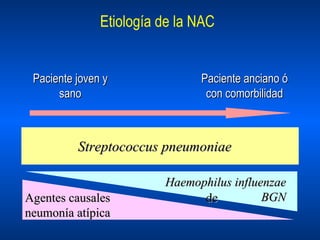 Paciente joven y sano Paciente anciano ó con comorbilidad Etiología de la NAC Streptococcus pneumoniae Haemophilus influenzae BGN Agentes causales  de neumonía atípica 
