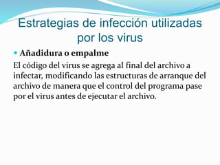 Estrategias de infección utilizadas
por los virus
 Añadidura o empalme
El código del virus se agrega al final del archivo a
infectar, modificando las estructuras de arranque del
archivo de manera que el control del programa pase
por el virus antes de ejecutar el archivo.
 