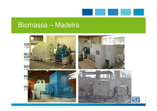 Biomassa – Madeira

 TERRANOVA                           IGUAÇÚ PAPEL E CELULOSE
 1 Gerador – 3.750 kVA               1 Gerador – 10.000 kVA

 MEGAIPE EMPREENDIMENTOS             MADEIREIRA MIGUEL FORTE
 AGRICOLAS LTDA.                     3 Geradores – 20.000 kVA
 1 Gerador - 1.500 kVA
                                     IRANI CELULOSE
 BERNECK AGLOMERADOS                 1 Gerador – 12.500 kVA
 1 Gerador – 15.000 kVA
                                     TANAC
                                     1 Gerador – 2.000 kVA
 MADECAL
 1 Gerador – 1.500 kVA
                                     RIGESA
                                     1 Gerador – 21.250 kVA
 NOBRECEL / CAMBARÁ PAPEL CELULOSE
 2 Geradores – 20.000 kVA            IPEL – INDAIAL PAPEL EMBALAGENS
                                     1 Gerador – 2.750 kVA
 
