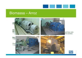 Biomassa – Arroz

 URBANO AGROINDUSTRIAL S.A.          AREVA – São Borja
 1 Gerador – 3.750 kVA               1 Transformador – 2,5 MVA
                                     + Projeto de Instalação Elétrica
                                     + Sistema de Supervisão e Controle
 CAAL - COOPERATIVA AGROINDUSTRIAL
 ALEGRETE LTDA
 1 Gerador – 4.875 kVA               COMIGO - COOPERATIVA AGROINDUSTRIAL DOS
                                     PRODUTORES RURAIS DO SUDOESTE GOIANO
                                     1 Gerador – 6.375 kVA
 SLC ALIMENTOS
 1 Gerador – 7.250 kVA
                                     CORADINI
                                     1 Gerador – 1.500 kVA
 Cliente: CAMIL
 1 Gerador – 5.000 kVA
 