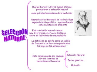 Charles Darwin y Alfred Russel Wallace
propusieron la selección natural
como principal mecanismo de la evolución
Reproducción diferencial de los individuos
según dotación genética , y generalmente
como resultado del ambiente
Existe relación natural cuando
hay diferencias en eficacia biológica
entre los individuos de una población
Este cambio puede ser causado
por una cantidad de
mecanismos diferentes
Selección Natural
Deriva genética
Mutación
La definición se define como un cambio
de frecuencia de los en una población a
los largo de las generaciones
Selección Natural
Deriva genética
Mutación
 