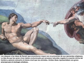 Los ataques a las ideas de Darwin que encontraron mayor eco no provenían de sus oponentes religiosos.
La idea de que los seres vivos habían evolucionado por procesos naturales negaba la creación divina del
hombre y parecía colocarlo al mismo nivel que los animales. Ambas ideas representaban una grave
amenaza para la teología ortodoxa..
 