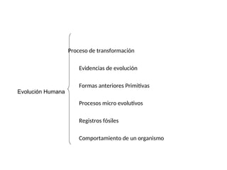 Proceso de transformación
Evidencias de evolución
Formas anteriores Primitivas
Procesos micro evolutivos
Registros fósiles
Comportamiento de un organismo
Evolución Humana
 