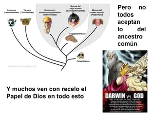 Y muchos ven con recelo el
Papel de Dios en todo esto
 