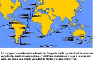 Su trabajo como naturalista a bordo del Beagle le dio la oportunidad de observar
variadas formaciones geológicas en distintos continentes e islas a lo largo del
viaje, así como una amplia variedad de fósiles y organismos vivos.
 