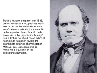 Tras su regreso a Inglaterra en 1836,
Darwin comenzó a recopilar sus ideas
acerca del cambio de las especies en
sus Cuadernos sobre la transmutación
de las especies. La explicación de la
evolución de los organismos le surgió
tras la lectura del libro Ensayo sobre el
principio de población (1798) del
economista británico Thomas Robert
Malthus, que explicaba cómo se
mantenía el equilibrio en las
poblaciones humanas.
 