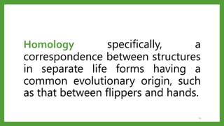 Homology specifically, a
correspondence between structures
in separate life forms having a
common evolutionary origin, such
as that between flippers and hands.
14
 