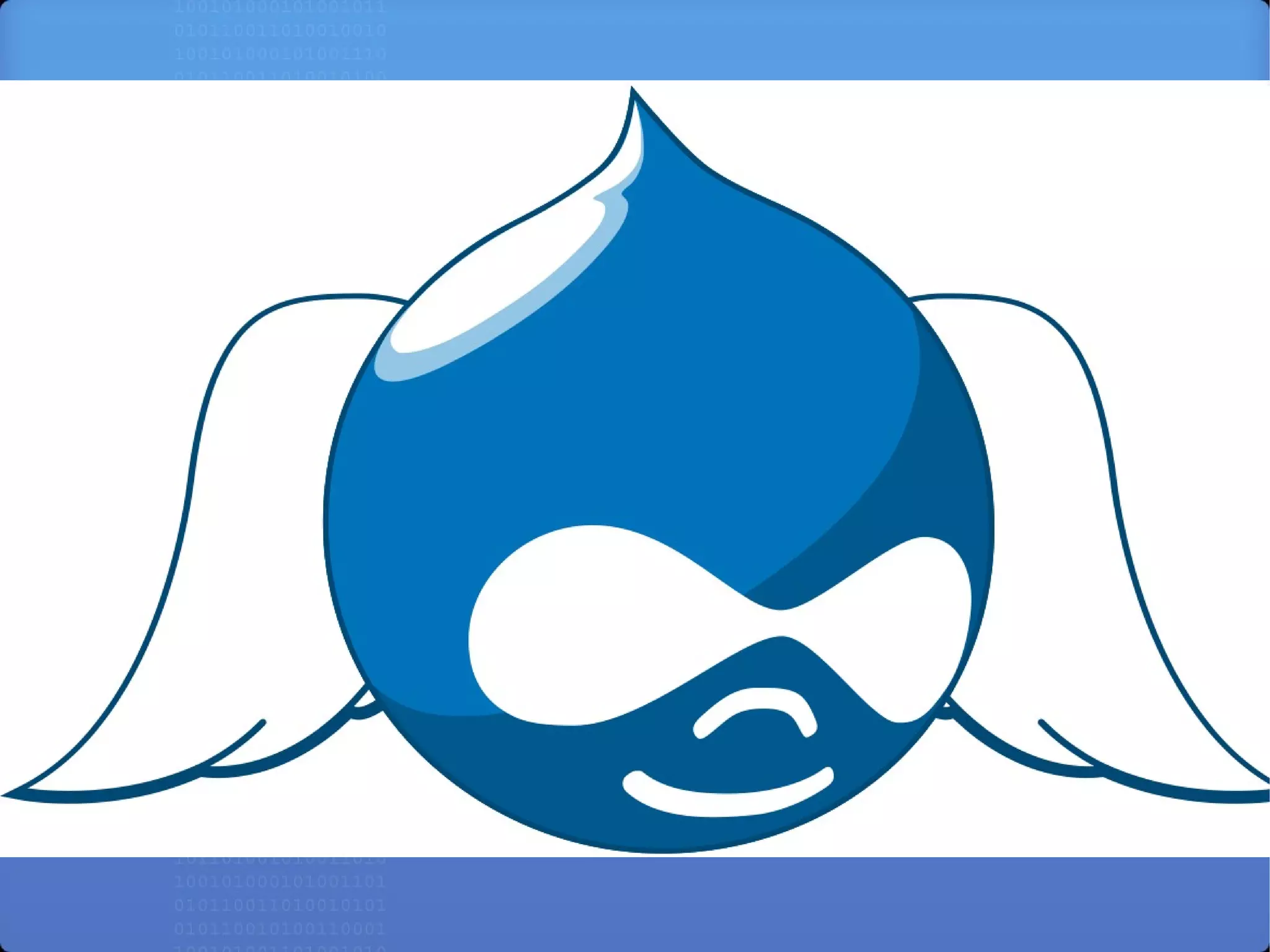 11:00-11:50 - Drupal for  中小企業電子商務網站 – 凌誠科技 