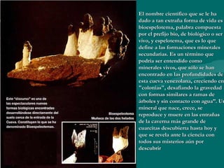 El nombre científico que se le ha dado a tan extraña forma de vida es bioespelotema, palabra compuesta por el prefijo bio, de biológico o ser vivo, y espelotema, que es lo que define a las formaciones minerales secundarias. Es un término que podría ser entendido como minerales vivos, que sólo se han encontrado en las profundidades de esta cueva venezolana, creciendo en "colonias", desafiando la gravedad con formas similares a ramas de árboles y sin contacto con agua”. Un mineral que nace, crece, se reproduce y muere en las entrañas de la caverna más grande de cuarcitas descubierta hasta hoy y que se revela ante la ciencia con todos sus misterios aún por descubrir   
