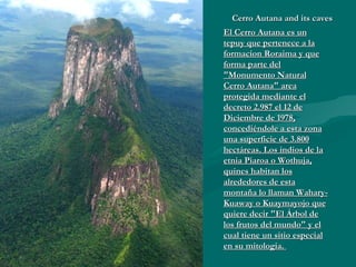Cerro Autana and its caves El Cerro Autana es un tepuy que pertenece a la formacion Roraima y que forma parte del "Monumento Natural Cerro Autana" area protegida mediante el decreto 2.987 el 12 de Diciembre de 1978, concediéndole a esta zona una superficie de 3.800 hectáreas. Los indios de la etnia Piaroa o Wothuja, quines habitan los alrededores de esta montaña lo llaman Wahary-Kuaway o Kuaymayojo que quiere decir "El Árbol de los frutos del mundo" y el cual tiene un sitio especial en su mitologia.  