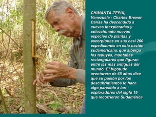 CHIMANTA-TEPUI, Venezuela - Charles Brewer Carías ha descendido a cuevas inexploradas y coleccionado nuevas especies de plantas y escorpiones en sus casi 200 expediciones en esta nación sudamericana, que alberga los tepuyes, montañas rectangulares que figuran entre las más antiguas del mundo.   El bigotudo aventurero de 68 años dice que su pasión por los descubrimientos lo hace algo parecido a los exploradores del siglo 19 que recorrieron Sudamérica   