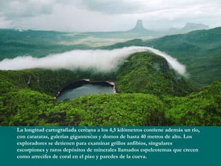 La longitud cartografiada cercana a los 4,5 kilómetros contiene además un río, con cataratas, galerías gigantescas y domos de hasta 40 metros de alto. Los exploradores se detienen para examinar grillos anfibios, singulares escorpiones y raros depósitos de minerales llamados espeleotemas que crecen como arrecifes de coral en el piso y paredes de la cueva.  