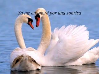Ya me enamoré por una sonrisa
 