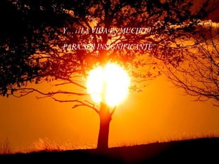 Y… ¡¡LA VIDA ES MUCHO!!...

PARA SER INSIGNIFICANTE”
 