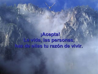 La vida, las personas, haz de ellas tu razón de vivir.   ¡Acepta! 