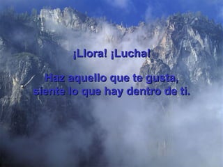 ¡Llora! ¡Lucha! Haz aquello que te gusta, siente lo que hay dentro de ti. 