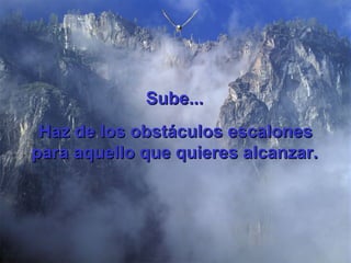 Haz de los obstáculos escalones para aquello que quieres alcanzar.   Sube... 