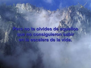 Pero no te olvides de aquellos que no consiguieron subir en la escalera de la vida.   