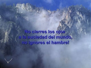 No cierres los ojos  a la suciedad   del mundo, no ignores el hambre! 