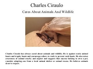 Charles Ciraulo
Cares About Animals And Wildlife
Charles Ciraulo has always cared about animals and wildlife. He is against exotic animal
hunts and trophy hunts and encourages others to work to prevent such hunts. He also raises
awareness of animal cruelty and neglect and suggests that anyone looking to own a pet,
consider adopting one from a local animal shelter or animal rescue. He believes animals
deserve respect.
 