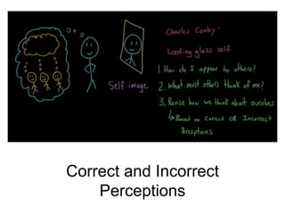 Correct and Incorrect
Perceptions
 