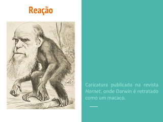 Caricatura publicada na revista
Hornet, onde Darwin é retratado
como um macaco.
Reação
 