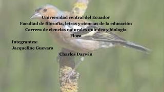 Universidad central del Ecuador
Facultad de filosofía, letras y ciencias de la educación
Carrera de ciencias naturales química y biología
Flora
Integrantes:
Jacqueline Guevara
Charles Darwin
 
