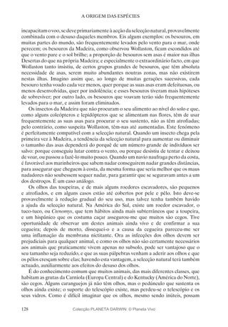 128
A ORIGEM DAS ESPÉCIES
incapacitamovoo,sedeveprimariamenteàacçãodaselecçãonatural,provavelmente
combinada com o desuso daqueles membros. Eis alguns exemplos: os besouros, em
muitas partes do mundo, são frequentemente levados pelo vento para o mar, onde
perecem; os besouros da Madeira, como observou Wollaston, ficam escondidos até
que o vento pare e o sol brilhe; a proporção de besouros sem asas é maior nas ilhas
Desertas do que na própria Madeira; e especialmente o extraordinário facto, em que
Wollaston tanto insistiu, de certos grupos grandes de besouros, que têm absoluta
necessidade de asas, serem muito abundantes noutras zonas, mas não existirem
nestas ilhas. Imagino assim que, ao longo de muitas gerações sucessivas, cada
besouro tenha voado cada vez menos, quer porque as suas asas eram defeituosas, ou
menos desenvolvidas, quer por indolência; e esses besouros tiveram mais hipóteses
de sobreviver; por outro lado, os besouros que voavam terão sido frequentemente
levados para o mar, e assim foram eliminados.
Os insectos da Madeira que não procuram o seu alimento ao nível do solo e que,
como alguns coleópteros e lepidópteros que se alimentam nas flores, têm de usar
frequentemente as suas asas para procurar o seu sustento, não as têm atrofiadas;
pelo contrário, como suspeita Wollaston, têm-nas até aumentadas. Este fenómeno
é perfeitamente compatível com a selecção natural. Quando um insecto chega pela
primeira vez à Madeira, a tendência da selecção natural para aumentar ou diminuir
o tamanho das asas dependerá do porquê de um número grande de indivíduos ser
salvo: porque conseguiu lutar contra o vento, ou porque desistiu de tentar e deixou
de voar, ou passou a fazê-lo muito pouco. Quando um navio naufraga perto da costa,
é favorável aos marinheiros que sabem nadar conseguirem nadar grandes distâncias,
para assegurar que cheguem à costa, da mesma forma que seria melhor que os maus
nadadores não soubessem sequer nadar, para garantir que se seguravam antes a um
dos destroços. É um caso análogo.
Os olhos das toupeiras, e de mais alguns roedores escavadores, são pequenos
e atrofiados, e em alguns casos estão até cobertos por pele e pêlo. Isto deve-se
provavelmente à redução gradual do seu uso, mas talvez tenha também havido
a ajuda da selecção natural. Na América do Sul, existe um roedor escavador, o
tuco-tuco, ou Ctenomys, que tem hábitos ainda mais subterrâneos que a toupeira,
e um hispânico que os costuma caçar assegurou-me que muitos são cegos. Tive
oportunidade de observar um destes animais ainda vivo e de confirmar a sua
cegueira; depois de morto, dissequei-o e a causa da cegueira pareceu-me ser
uma inflamação da membrana nictitante. Ora as infecções dos olhos devem ser
prejudiciais para qualquer animal, e como os olhos não são certamente necessários
aos animais que praticamente vivem apenas no subsolo, pode ser vantajoso que o
seu tamanho seja reduzido, e que as suas pálpebras venham a aderir aos olhos e que
os pêlos cresçam sobre elas; havendo esta vantagem, a selecção natural terá também
actuado, auxiliarmente aos efeitos do desuso dos olhos.
É do conhecimento comum que muitos animais, das mais diferentes classes, que
habitam as grutas da Carniola (Europa Central) e do Kentucky (América do Norte),
são cegos. Alguns caranguejos já não têm olhos, mas o pedúnculo que sustenta os
olhos ainda existe; o suporte do telescópio existe, mas perdeu-se o telescópio e os
seus vidros. Como é difícil imaginar que os olhos, mesmo sendo inúteis, possam
Colecção PLANETA DARWIN: © Planeta Vivo
 
